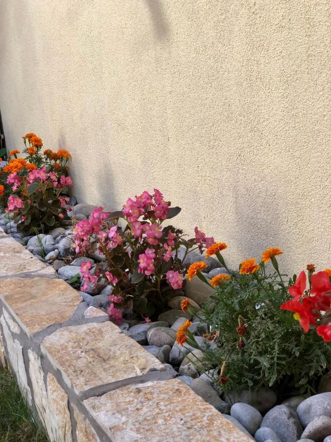 Vila Razic Danilovgrad 외부 사진